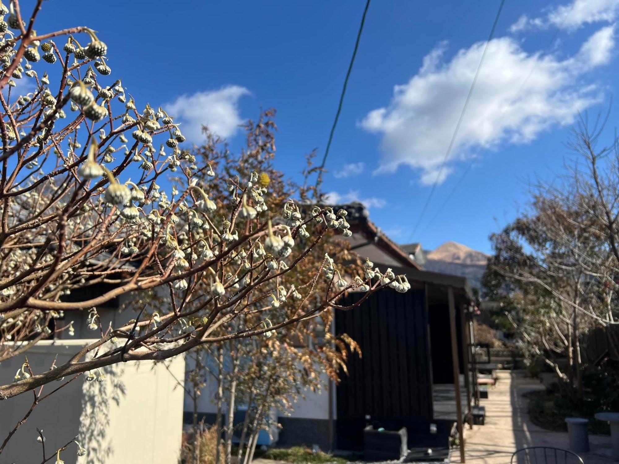 Assi House Yufu